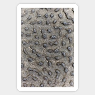 Spotted Volcanic Rock Formation Sticker